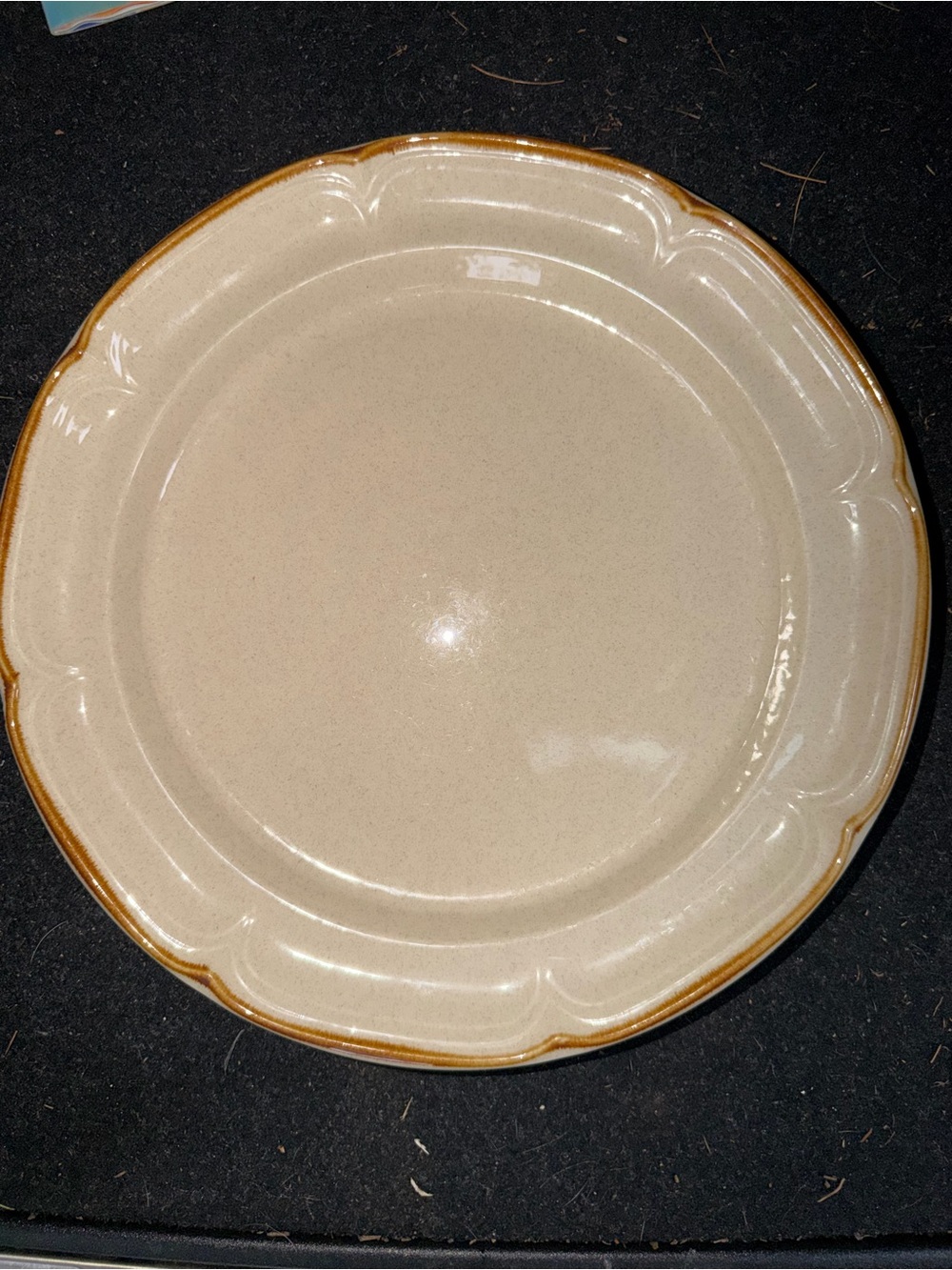 Cream Ceramic Dinner Plate with Brown Rim